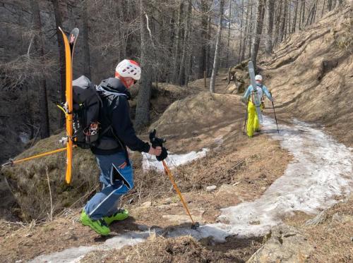 Turno skijanje PAzinka